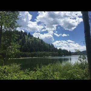 Meet your Posher, Riley